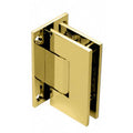 Adjustable Wall Mount Full Back Plate Hinge B363559