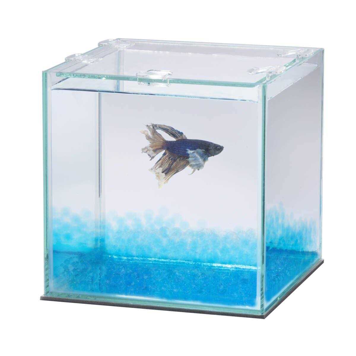 Betta Beads N7527