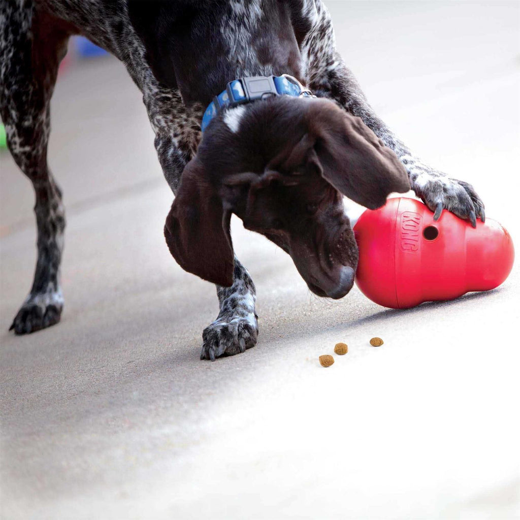 Dog Toy X2484