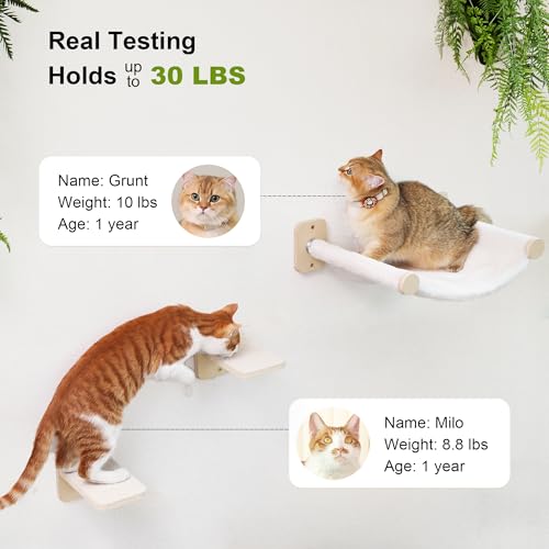 Cat Wall Hammock with Two Steps Set L2293