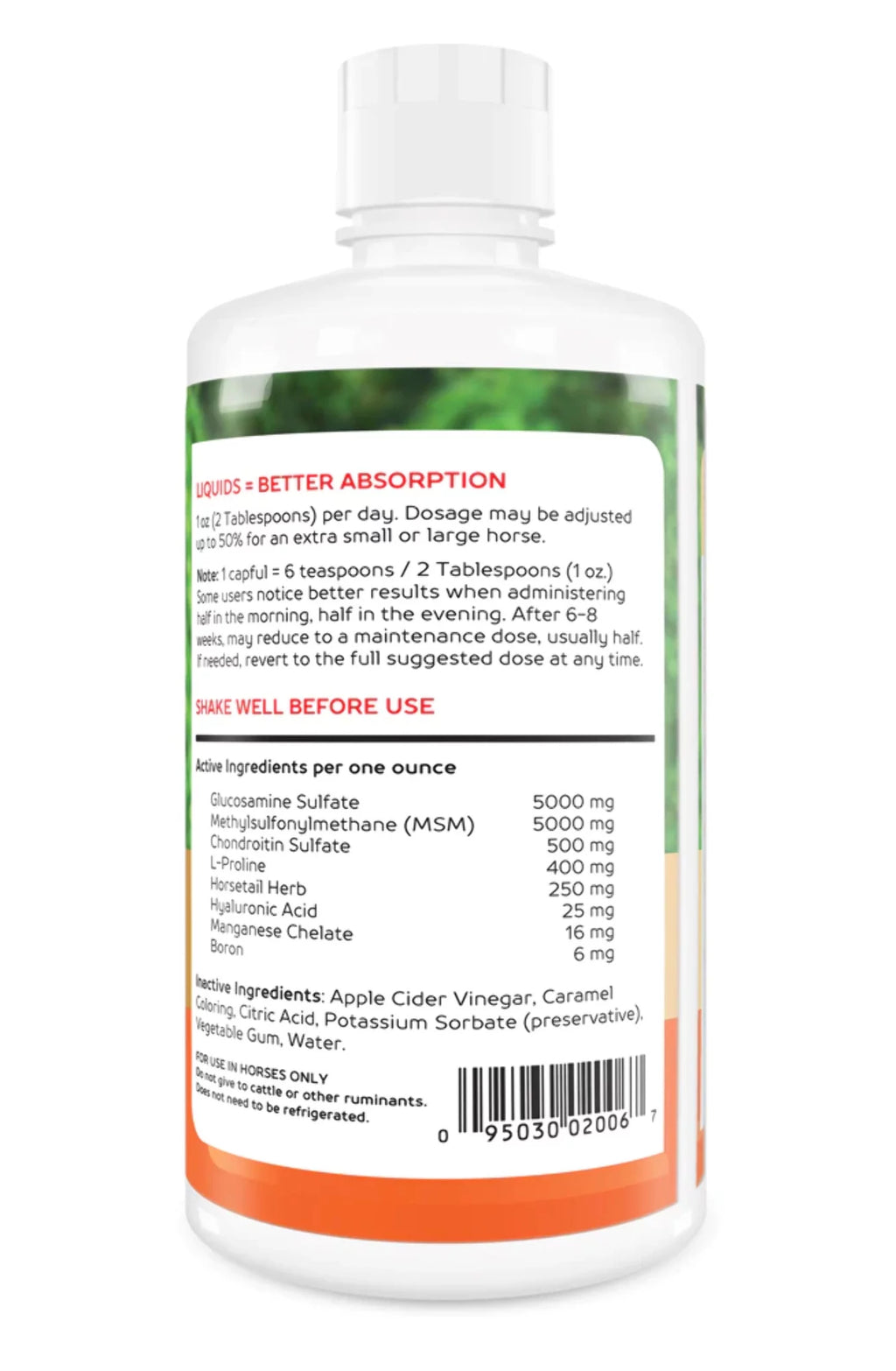 Liquid Glucosamine Joint Health V5343