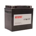 Maintenance-Free Battery with Acid A37796