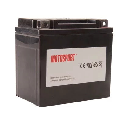 Maintenance-Free Battery with Acid A37796