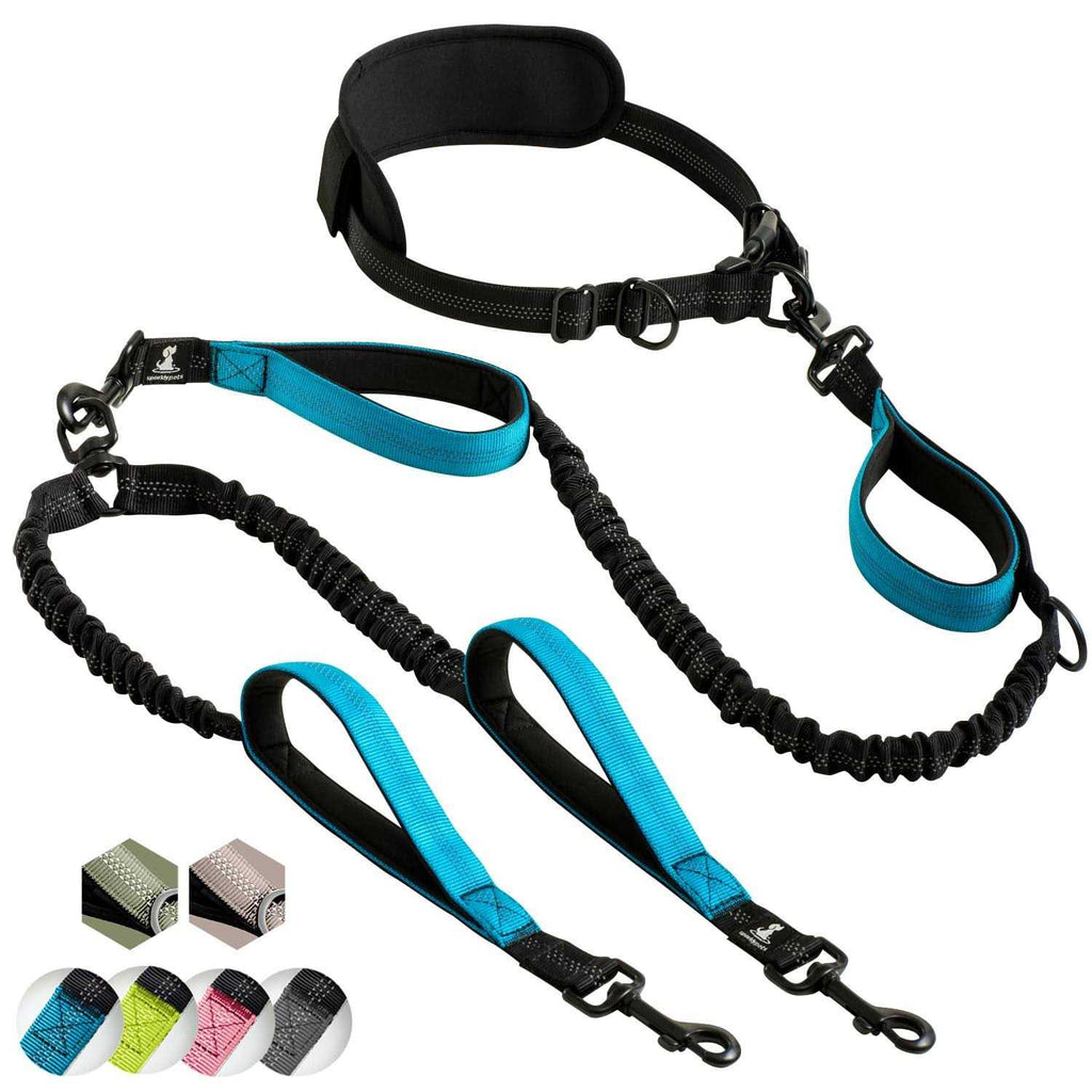 Hands Free Double Dog Leash I342315