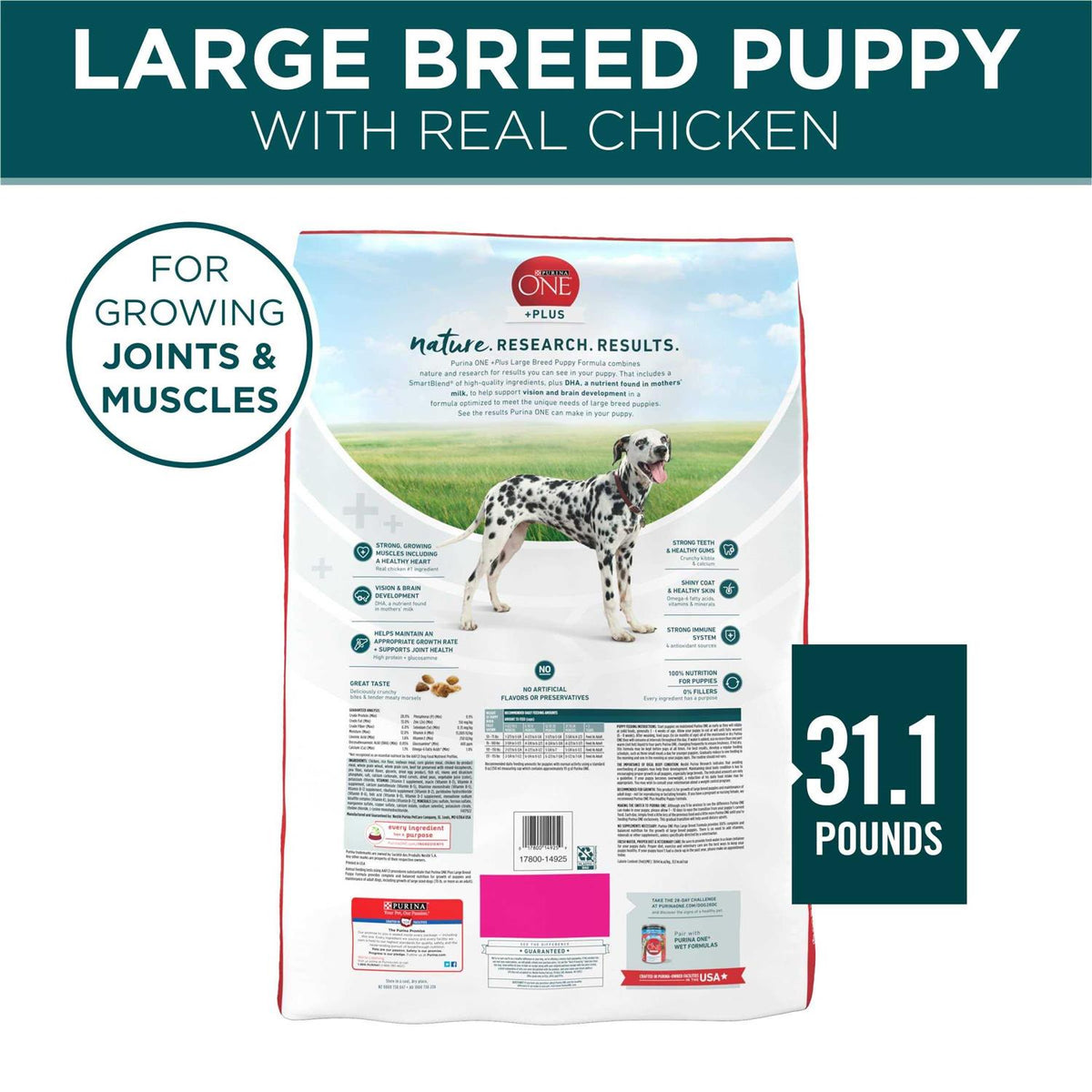 Large Breed Puppy Formula Dry Dog Food Z1888