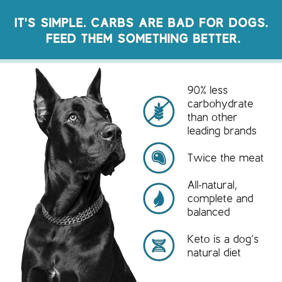 Chicken Recipe Adult Dry Dog Food Low Carb High Protein E991