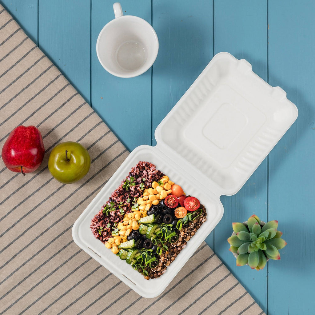 9 inch Compostable Sugarcane Clamshell Containers, 300 Pack V286