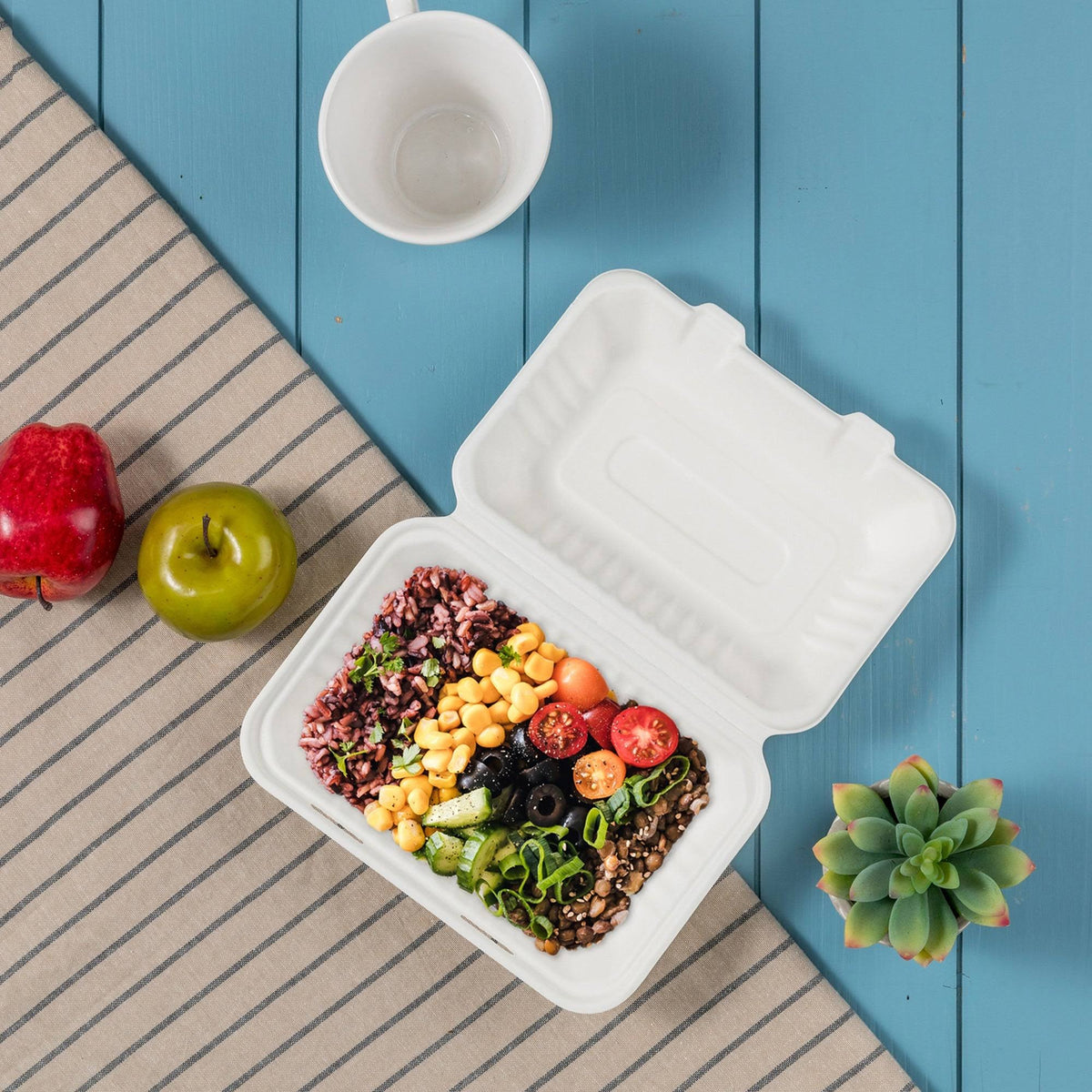 9 inch Compostable Sugarcane Clamshell Containers, 300 Pack V286