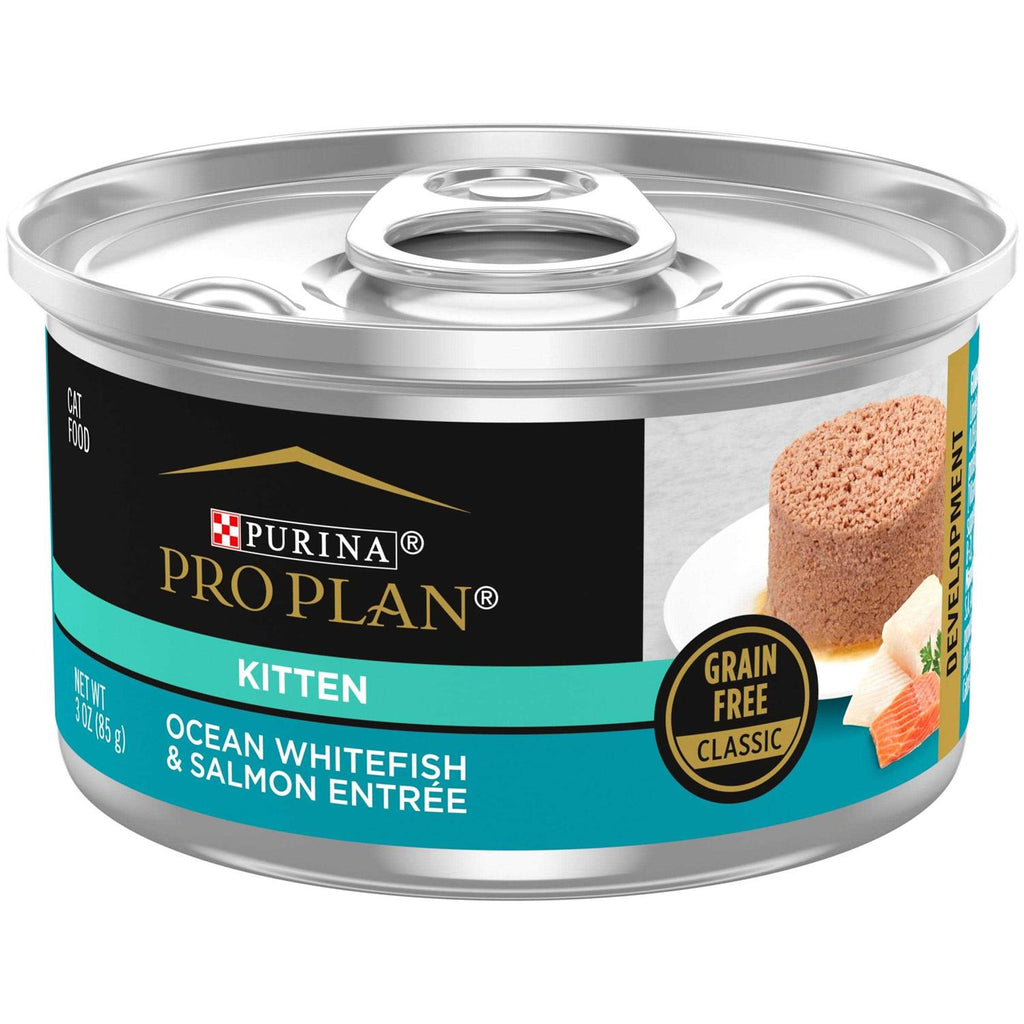 Grain Free Pate Wet Kitten Food X687241