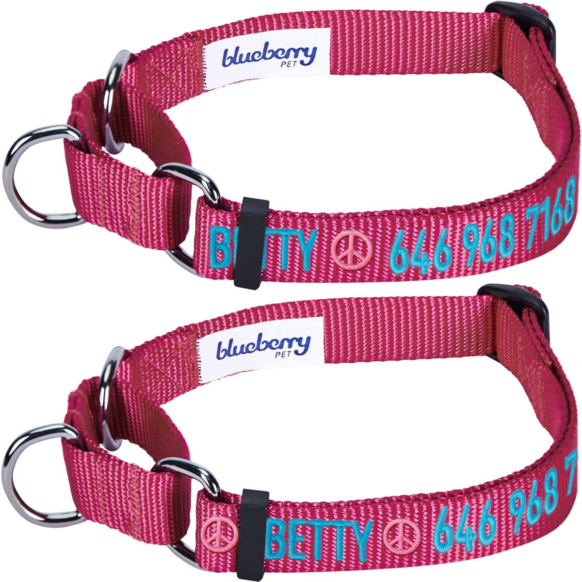 Martingale Safety Training Dog Collar D52867
