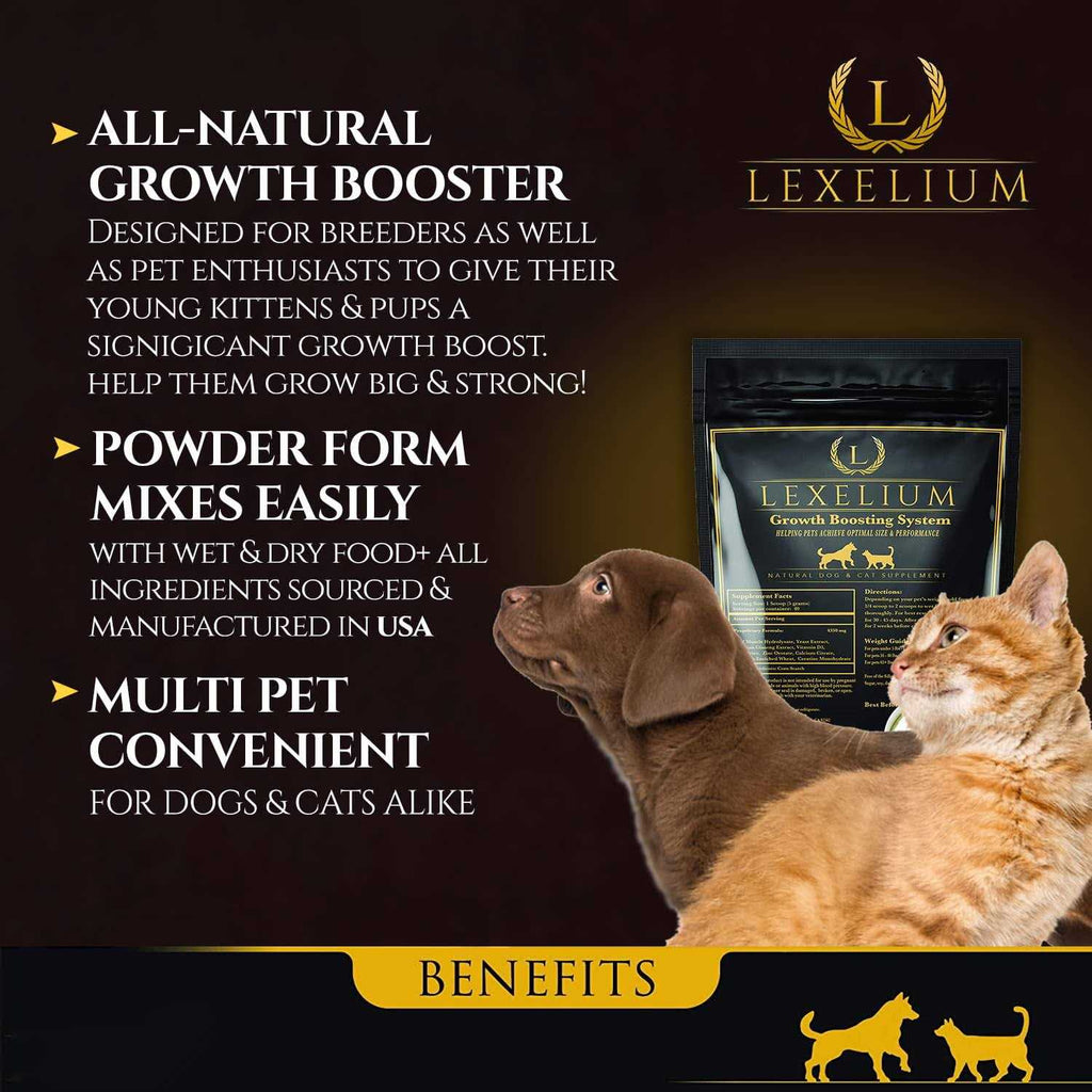 Weight Gainer Supplement for Dogs & Cats Q53585