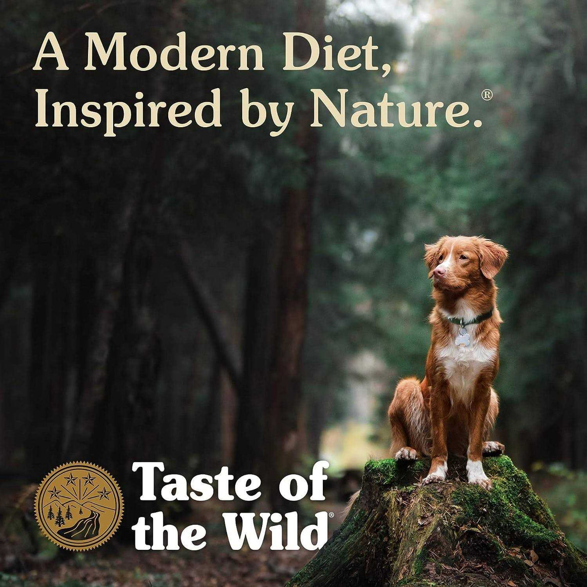 Dog Food E283731