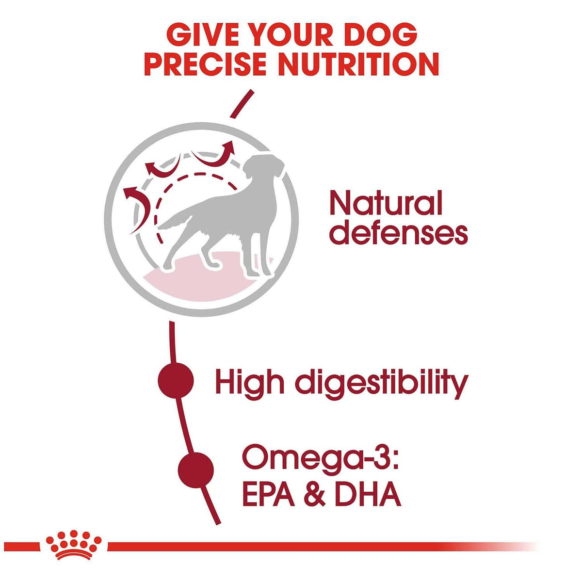 Medium Adult Dry Dog Food U828