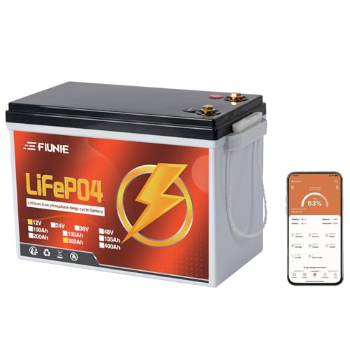 12V 100Ah LiFePO4 Deep Cycle Battery with Bluetooth K4630