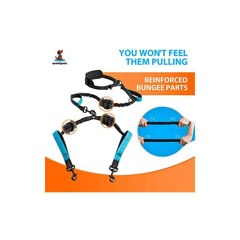 Hands Free Double Dog Leash I342315