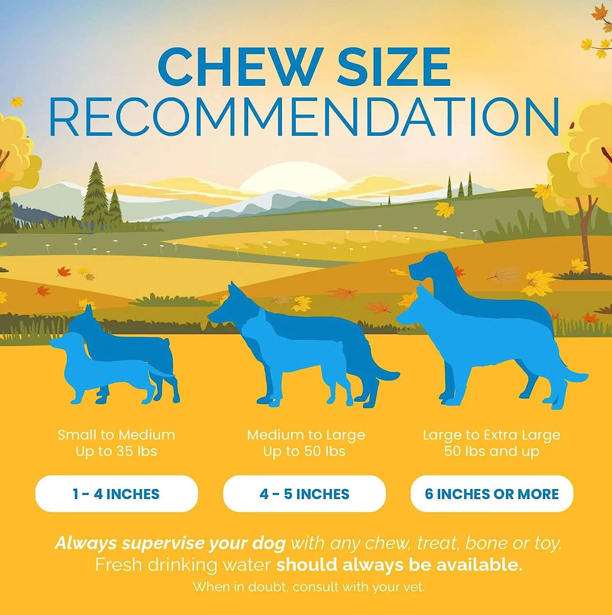 Beef Esophagus Gullet Jerky Dog Chews 6" 25 Count J931083