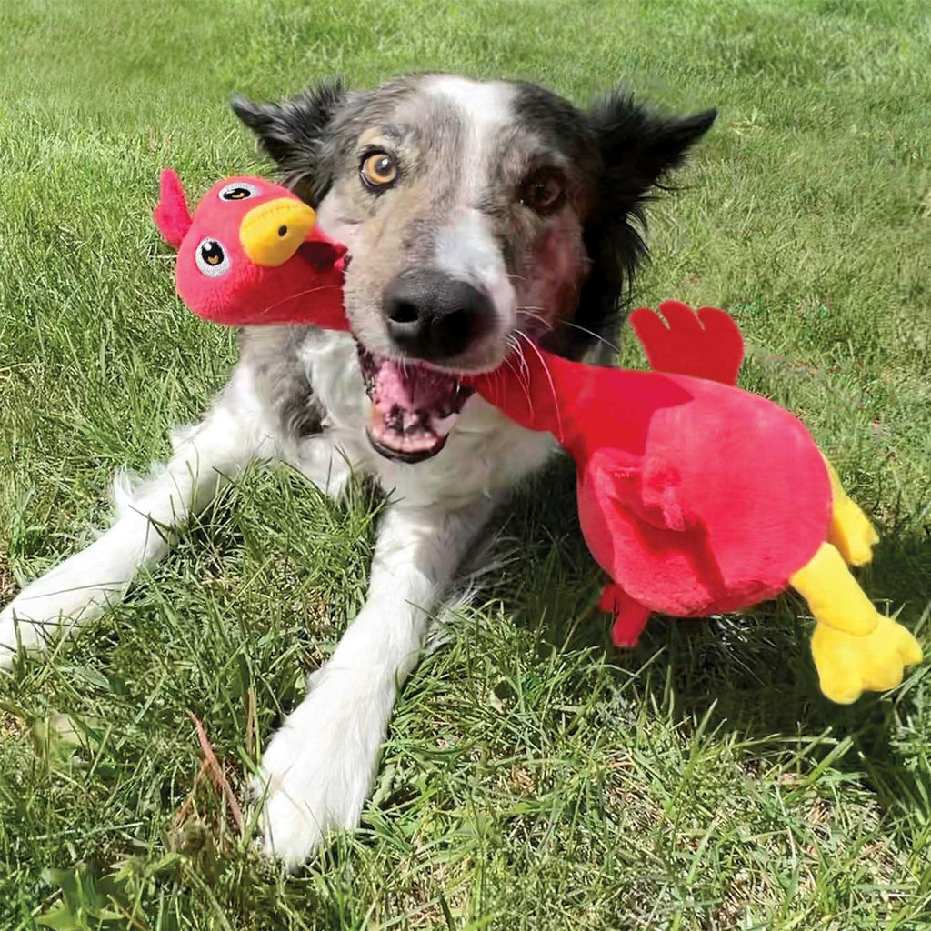 Dog Toy Rooster V9094