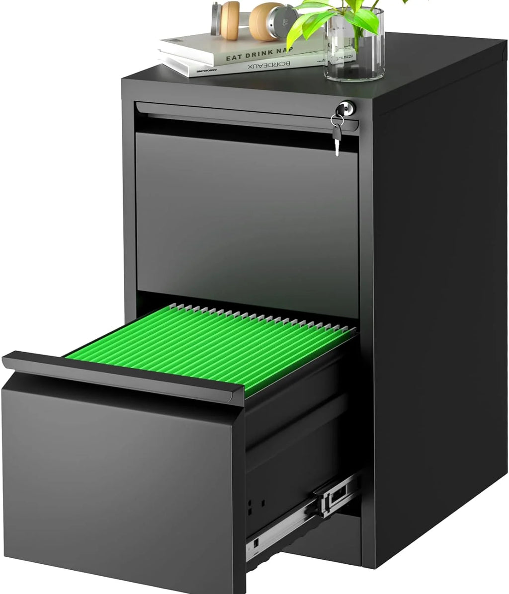 2 Drawer Metal Vertical File Cabinet with Lock F23174