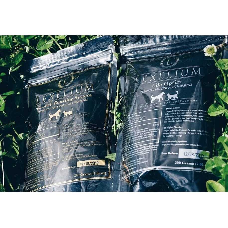 Weight Gainer Supplement for Dogs & Cats Q53585