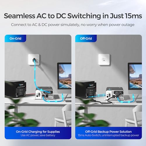 3000W 12V to 110V Pure Sine Wave Power Inverter U369