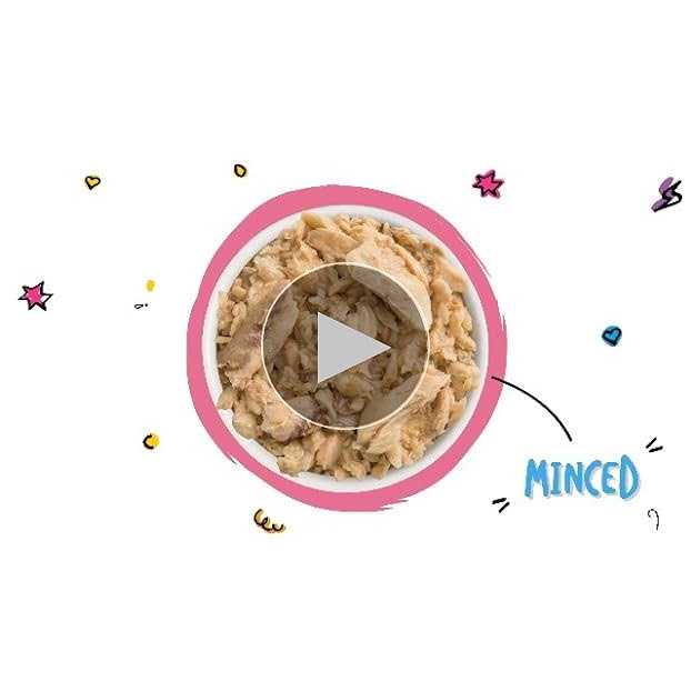 Cat Canned Food K4584