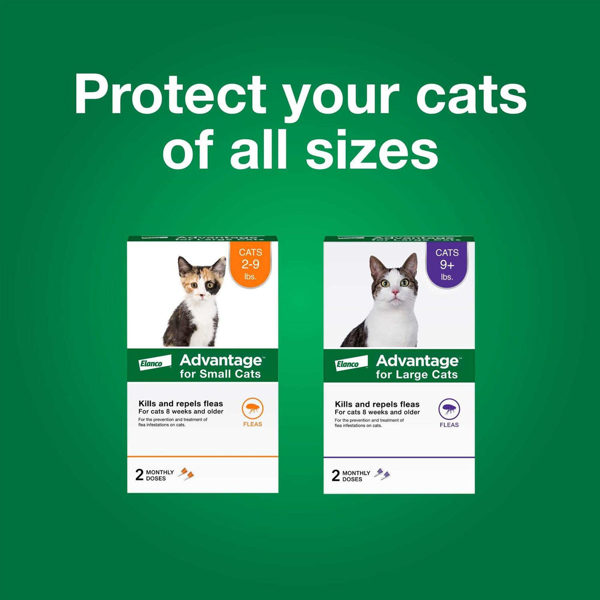 Topical Flea Prevention for Small Cats P425370