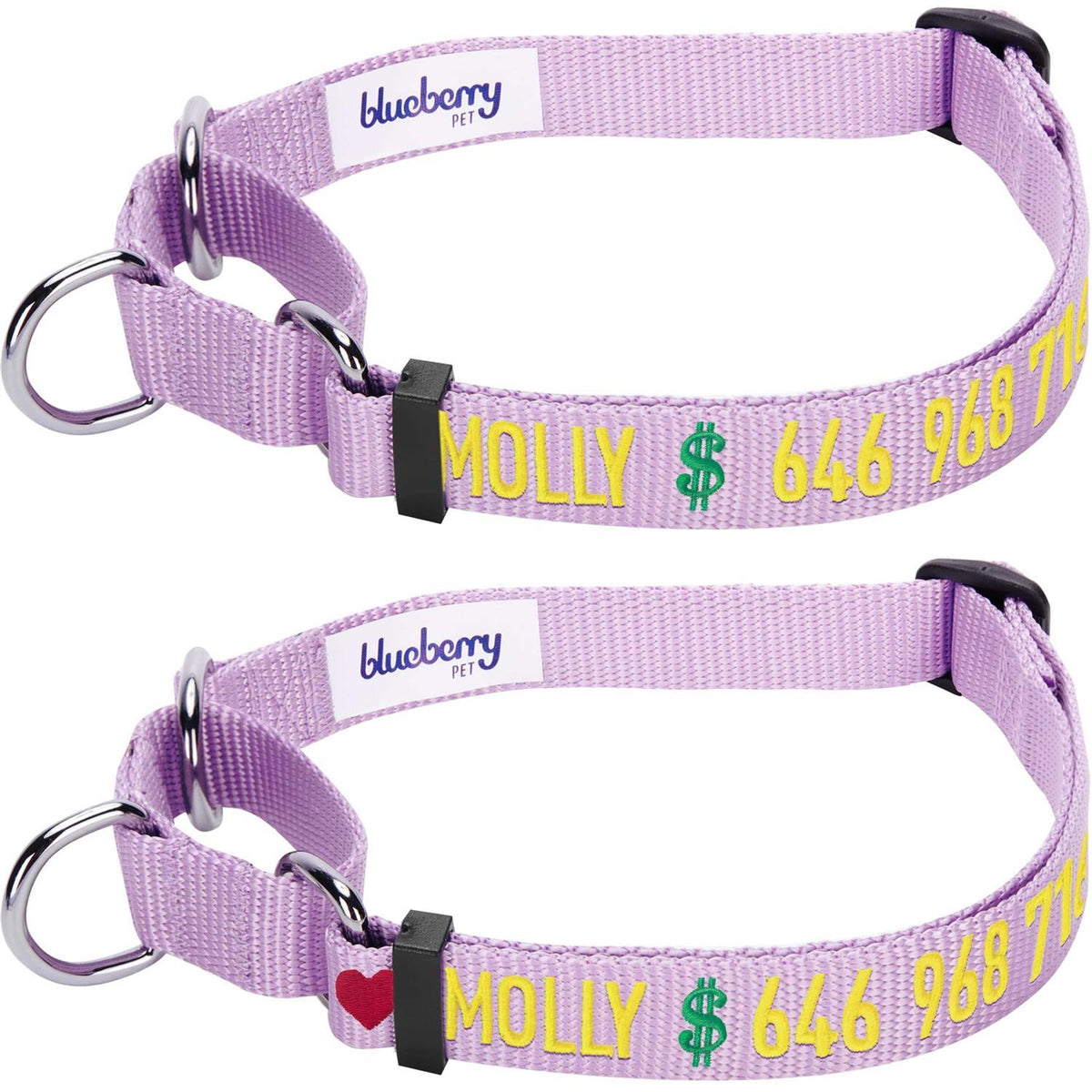 Martingale Safety Training Dog Collar D52867