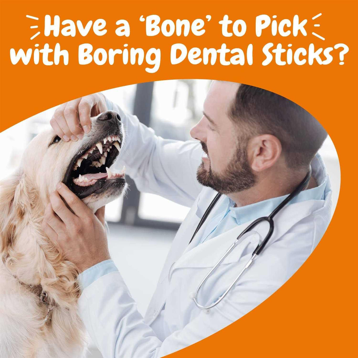 Dental Bones for Dogs B8878