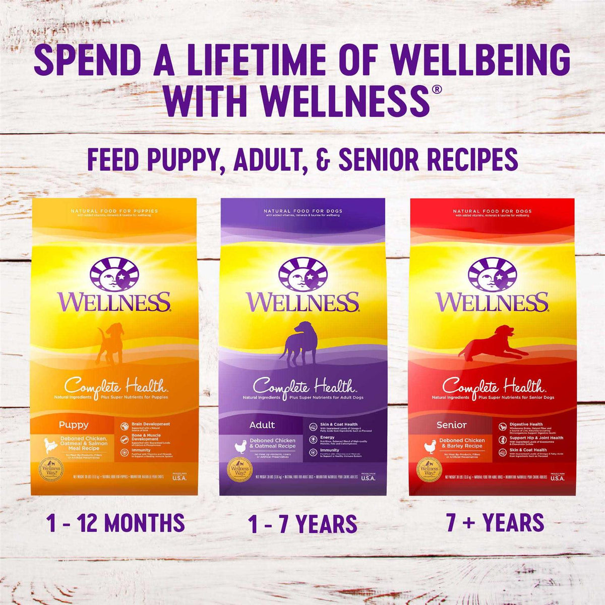 Small Breed Dog Food X266
