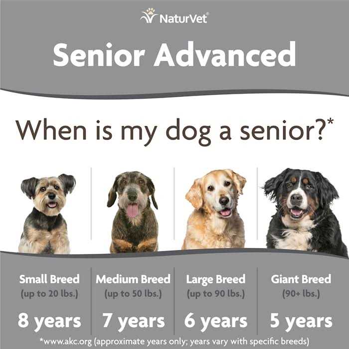 Senior Incontinence Soft Chews O542