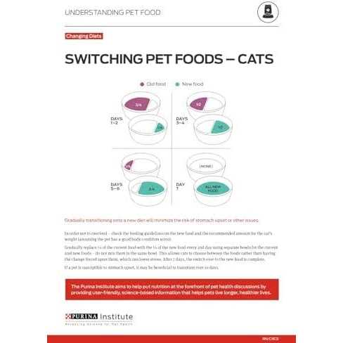 Grain Free Pate Wet Kitten Food X687241