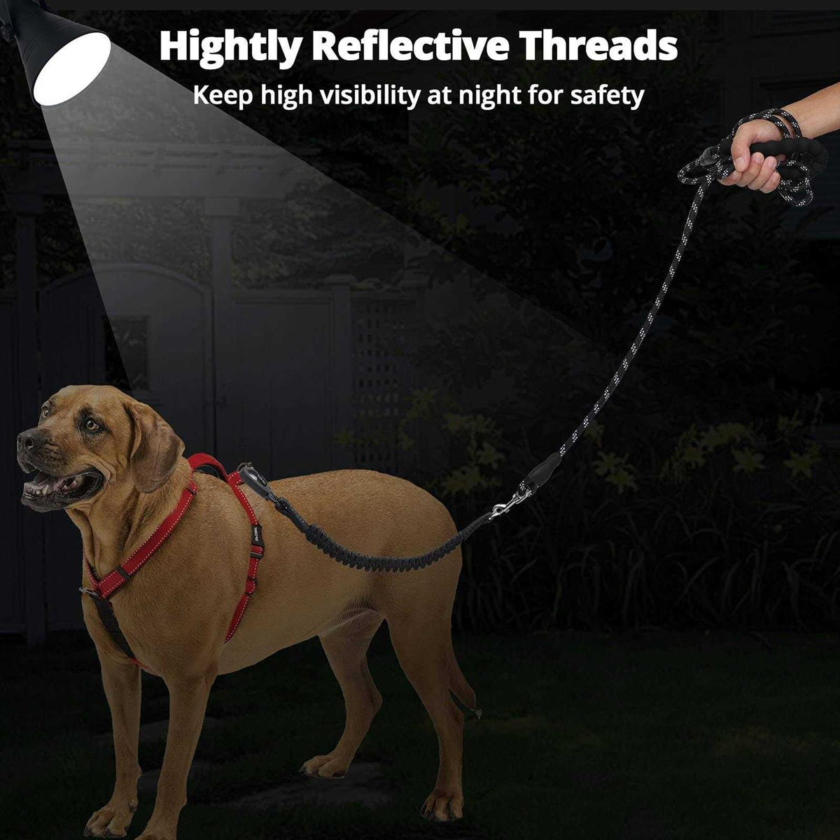 Heavy Duty Reflective Bungee Dog Leash J363238