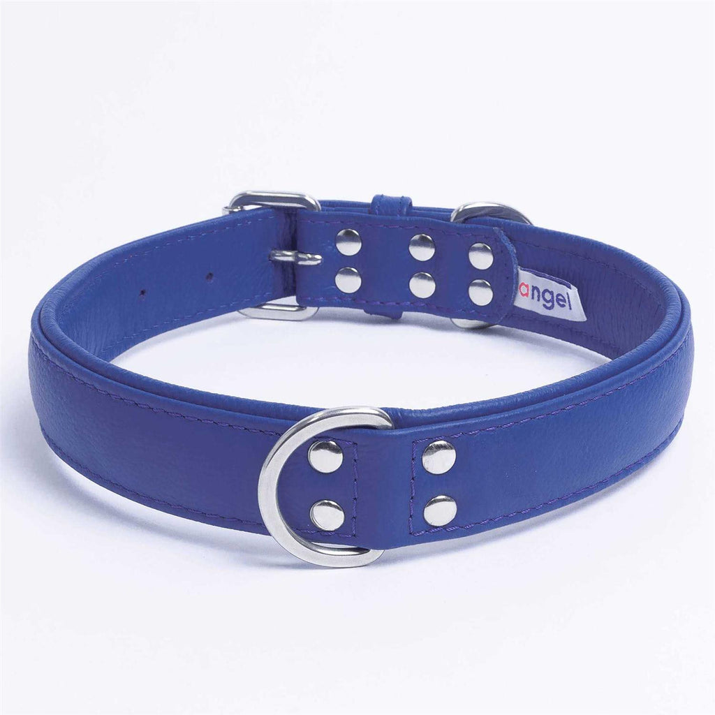 Dog Collar E640720