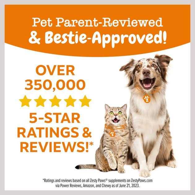 Dental Bones for Dogs B8878