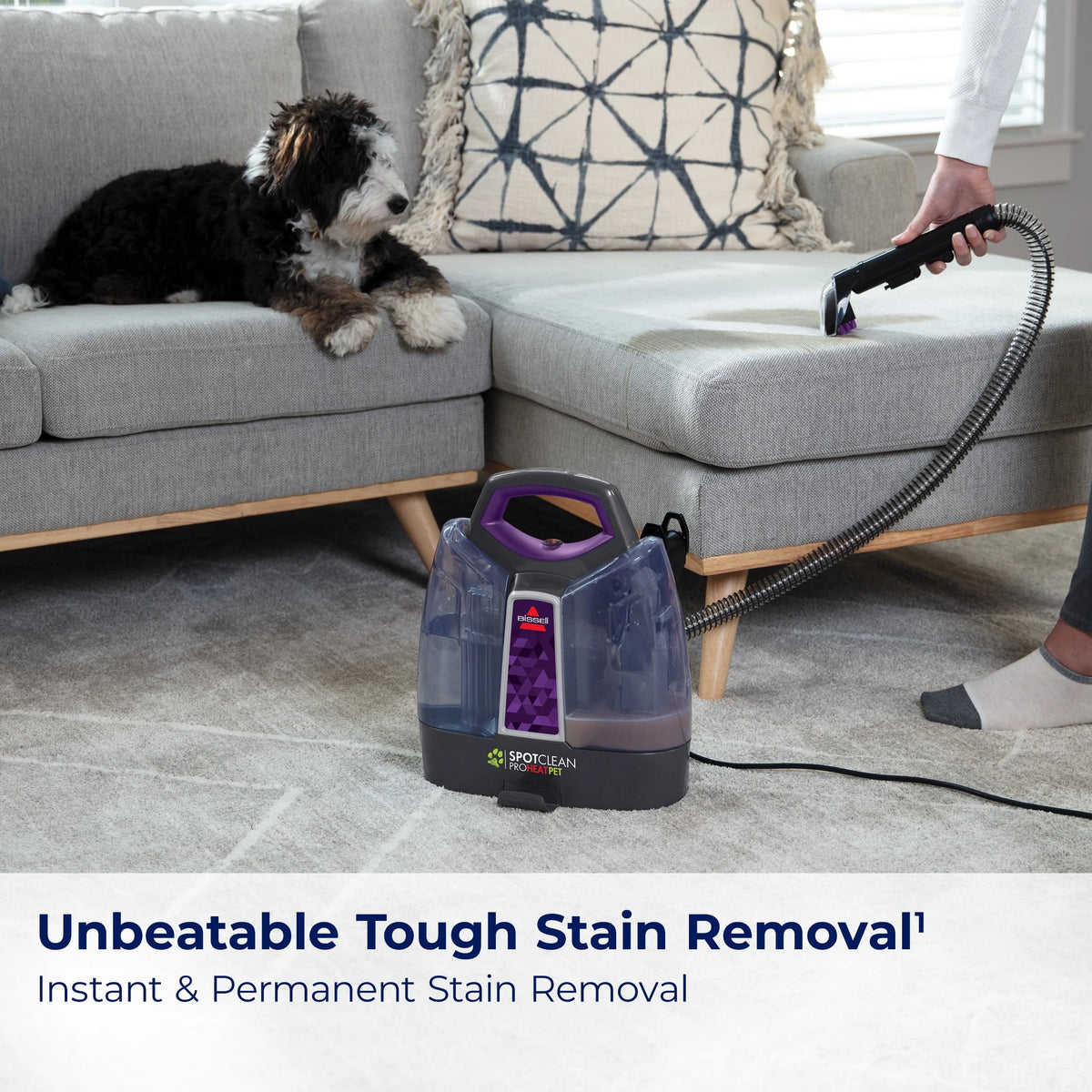 Portable Carpet Cleaner O902