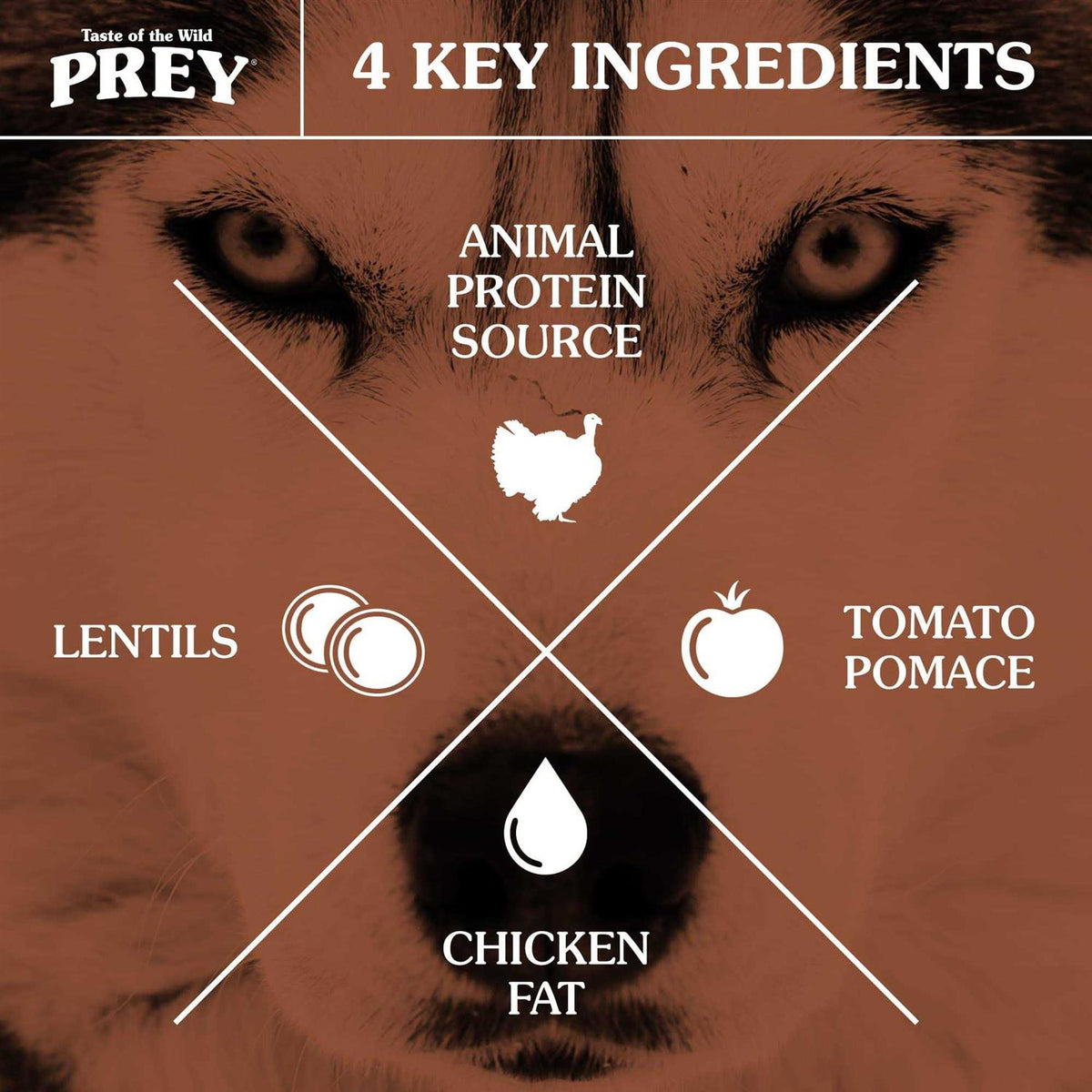 Turkey Dog Food F761