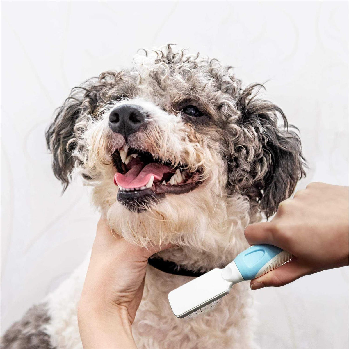 Pet Grooming Dematting Tool P734330