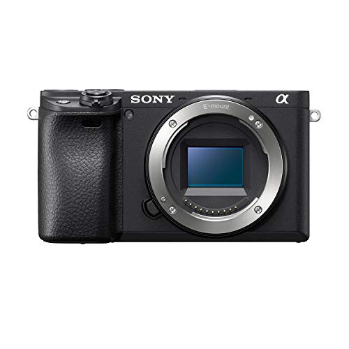 Black Compact APS-C Mirrorless Camera with 16-50mm Lens Q875566