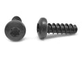 #4-20 x 1/2 Thread Rolling Screw 6 Lobe Pan Head Black Zinc Plated 10000 Pk C436751