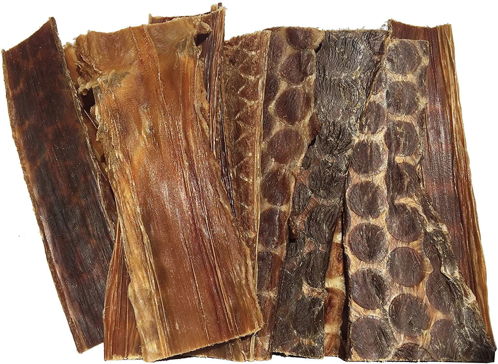 Beef Esophagus Gullet Jerky Dog Chews 6" 25 Count J931083