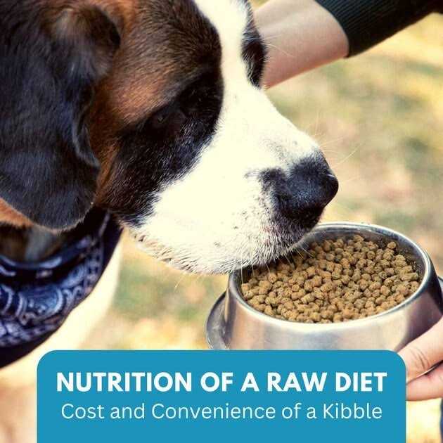 Chicken Recipe Adult Dry Dog Food Low Carb High Protein E991