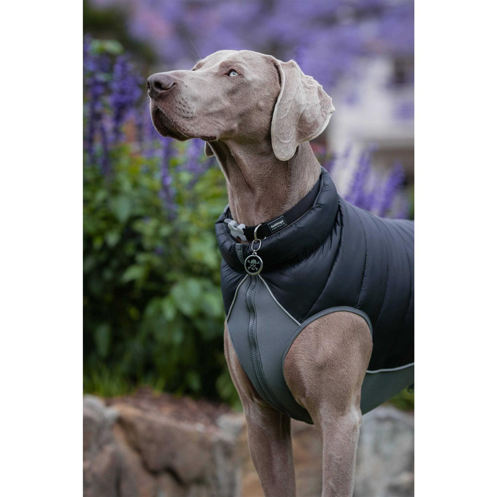 Enamel Pet ID Tag D723542