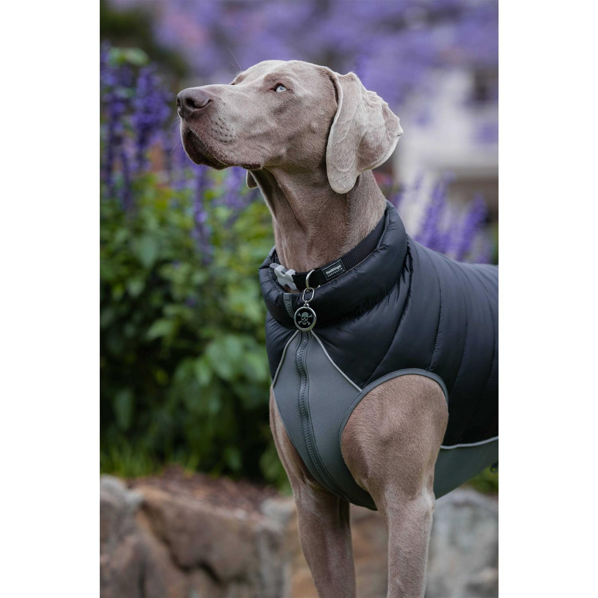 Enamel Pet ID Tag D723542