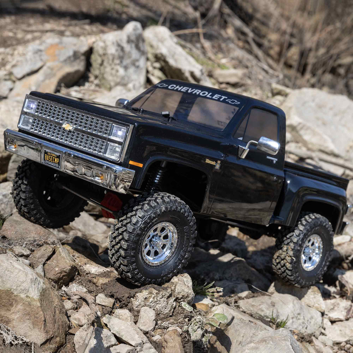 Black RC Truck P3022