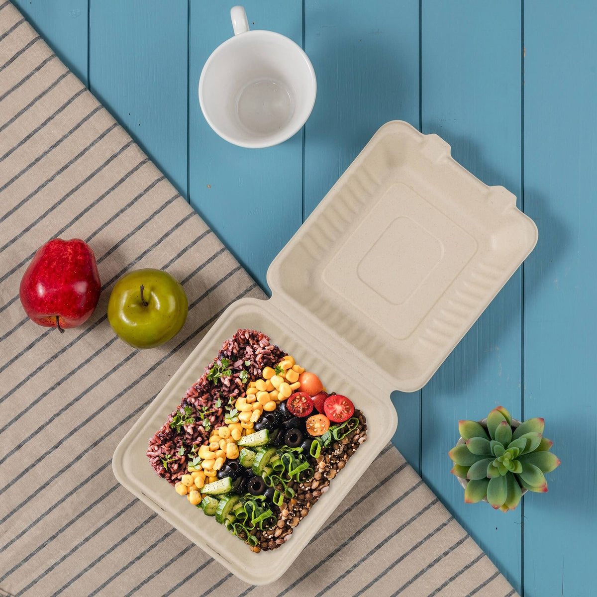 9 inch Compostable Sugarcane Clamshell Containers, 300 Pack V286