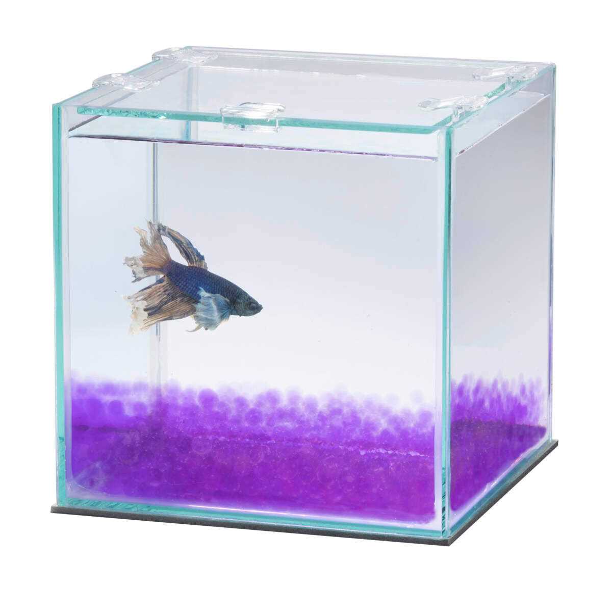 Betta Beads N7527