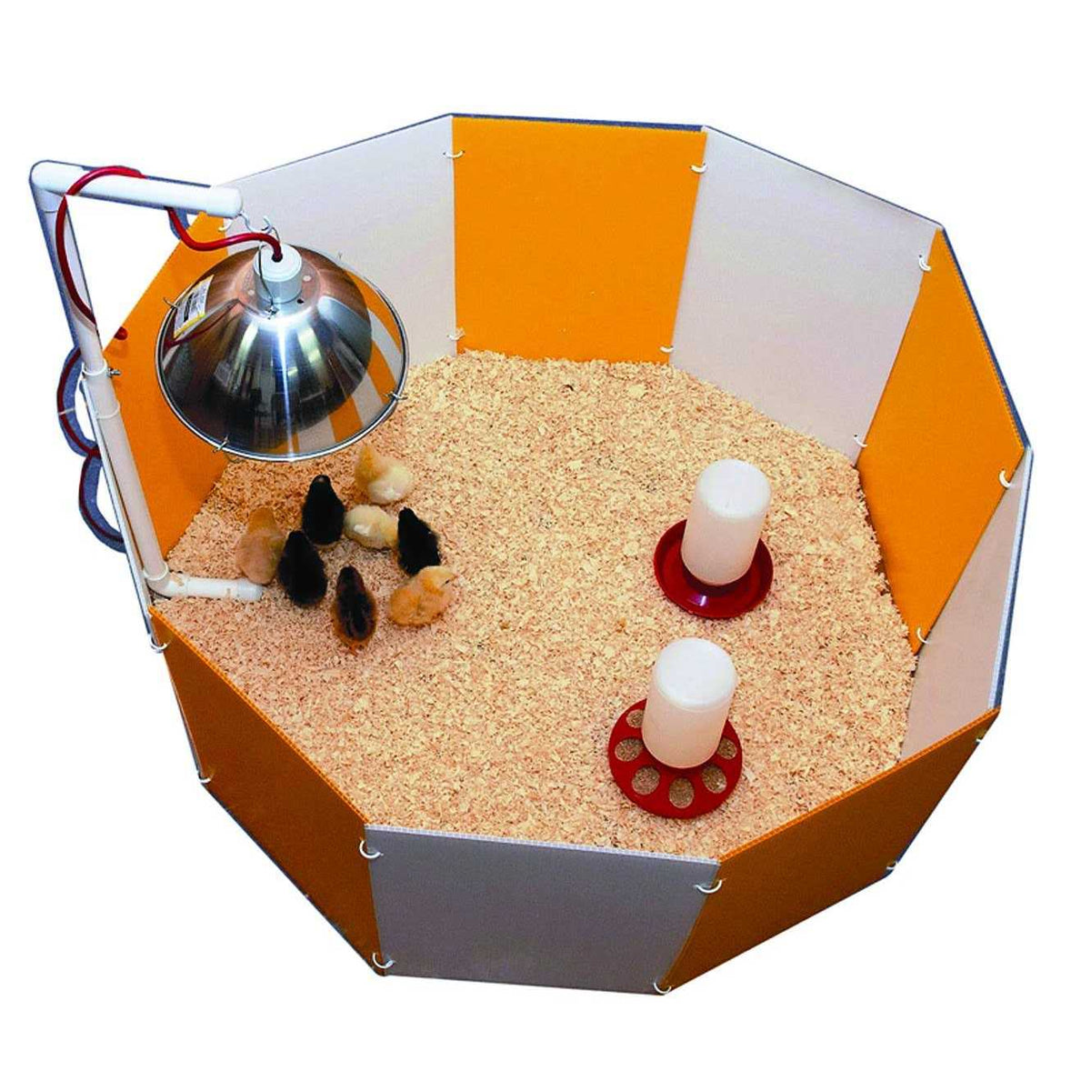 Baby Chick Starter Home J6929
