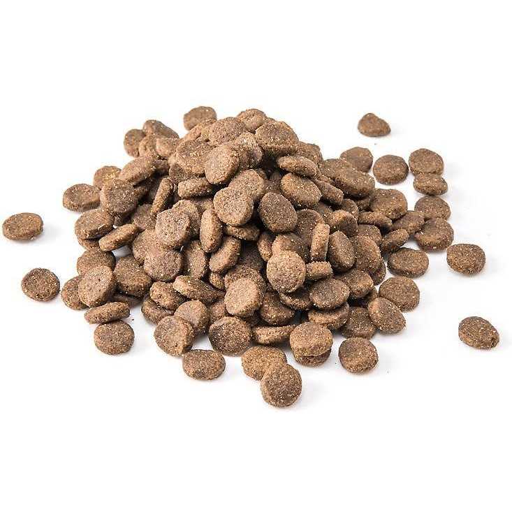Dog Food E283731