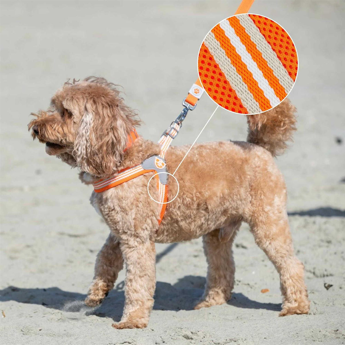 Dog Harness Z91918