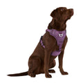 Neoprene Dog Harness I3048